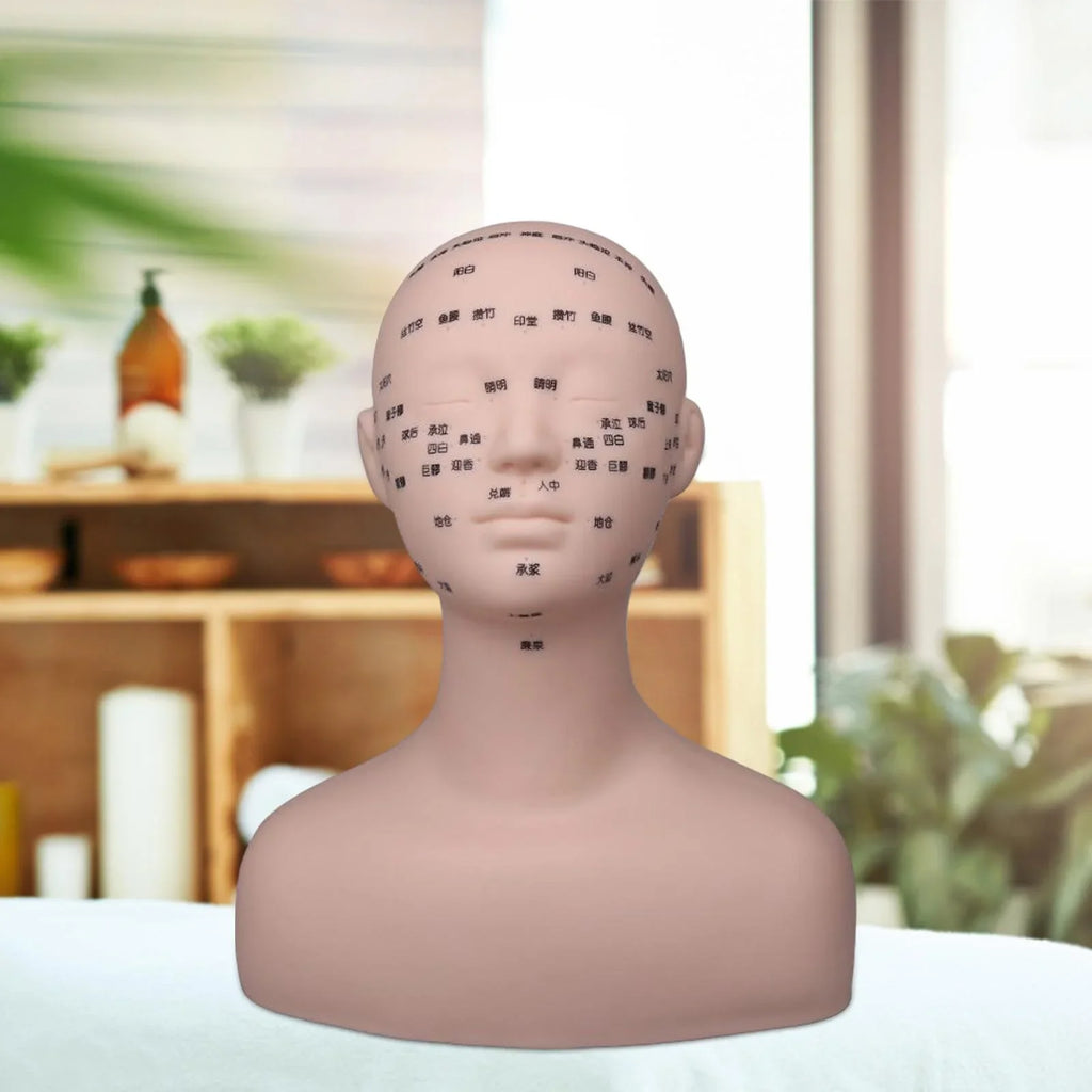 Permanent Shoulder Training Soft Beginners Professional Multifunction Mannequin Black Model Artists Head with Massage Practice Makeup for Reusable