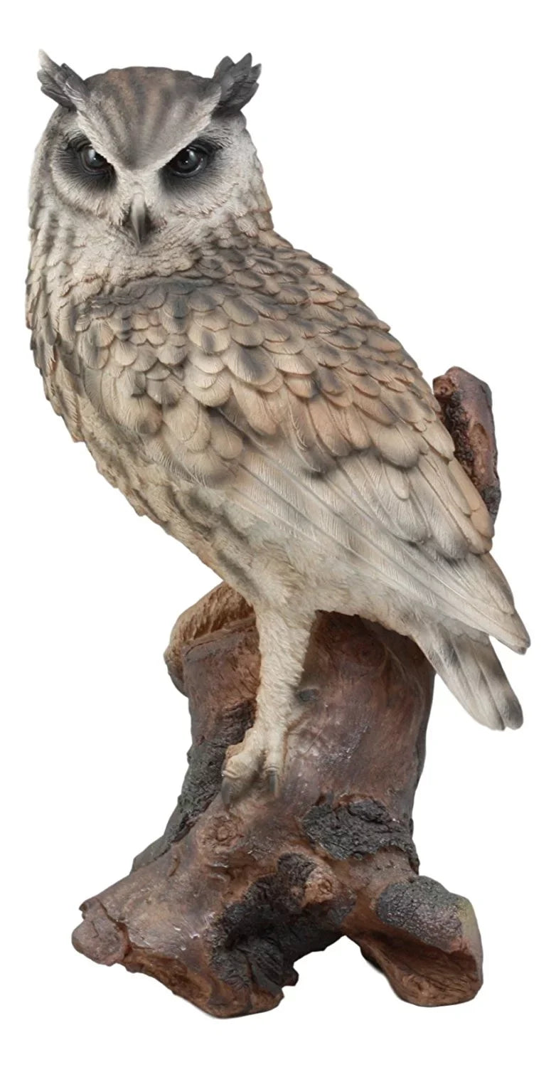 Taxidermy Glass Eagle Nocturnal 14.25"Tall Owl Realistic On Owl Tree Statue With Ebros Nature Lifelike Eyes Figurine Wildlife Perching Eurasian
