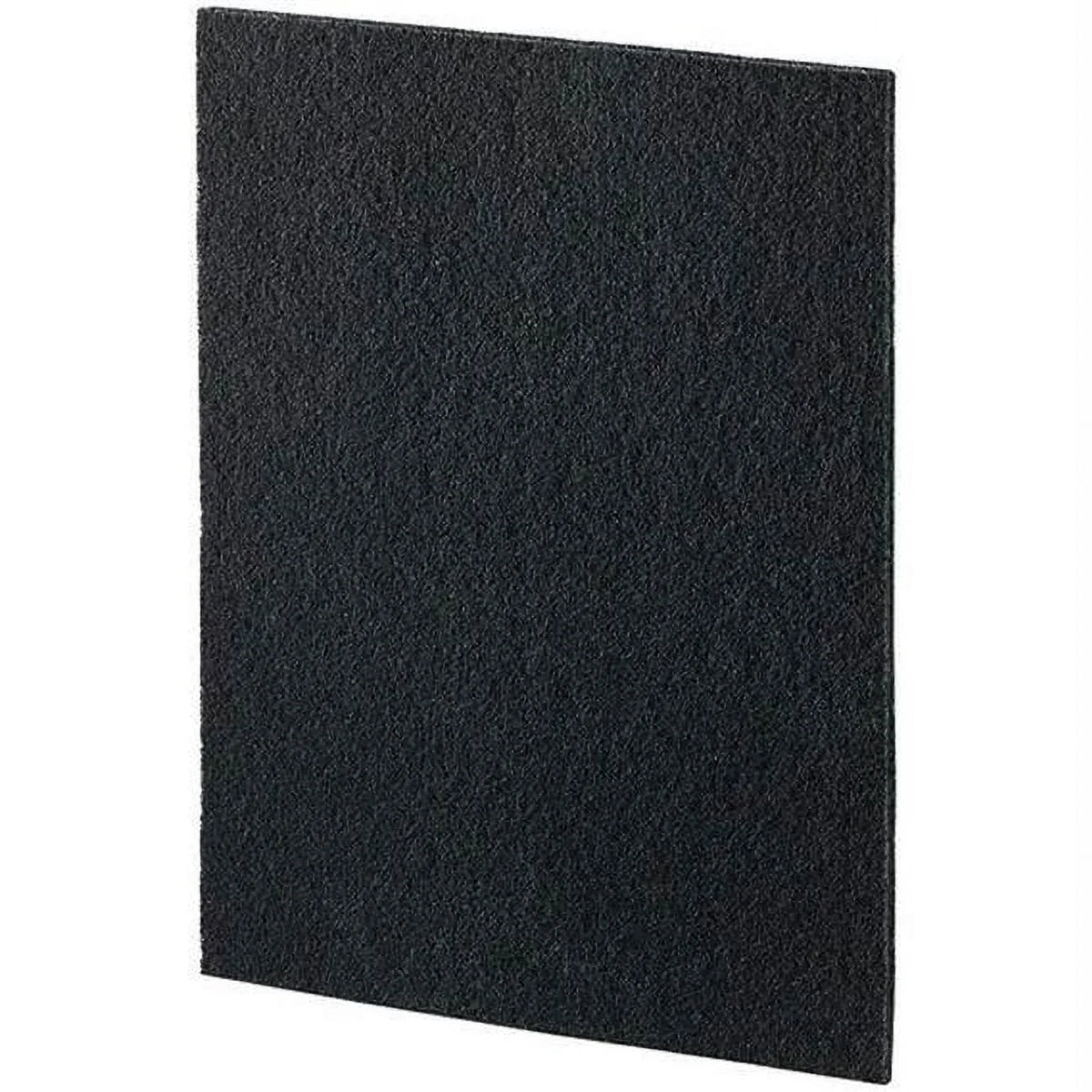 Carbon Filters, Large 4 Pk
