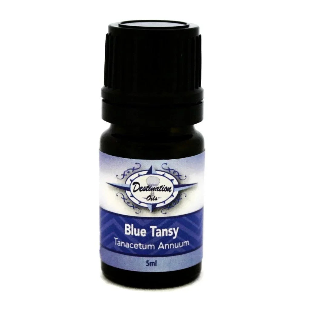 Essential Blue Oil Destination Oils 50/50 5ml dilution Tansy