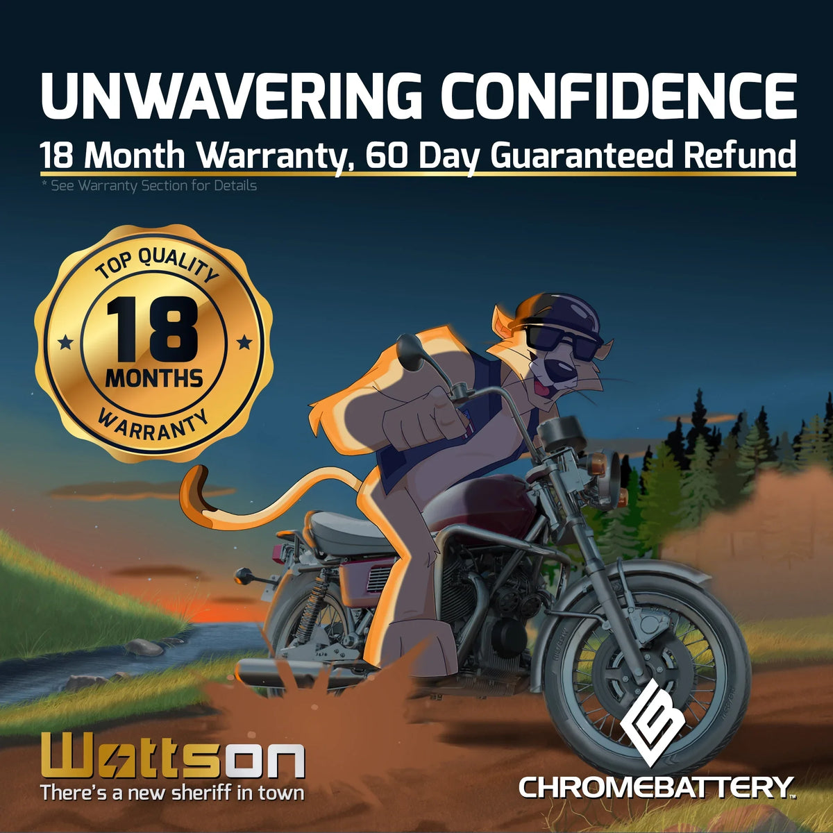1988 Battery Jf650 230 Volt,14 (16L-BS for Battery X2 CCA) 650cc Kawasaki Ah, 12 Jet Chrome YTX16L-BS Ski