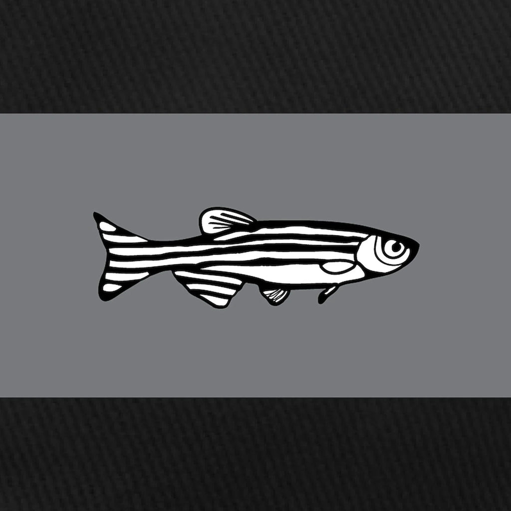 Cap - Adjustable Zebrafish Canvas Hat Black Black CafePress - Cotton Printed Baseball