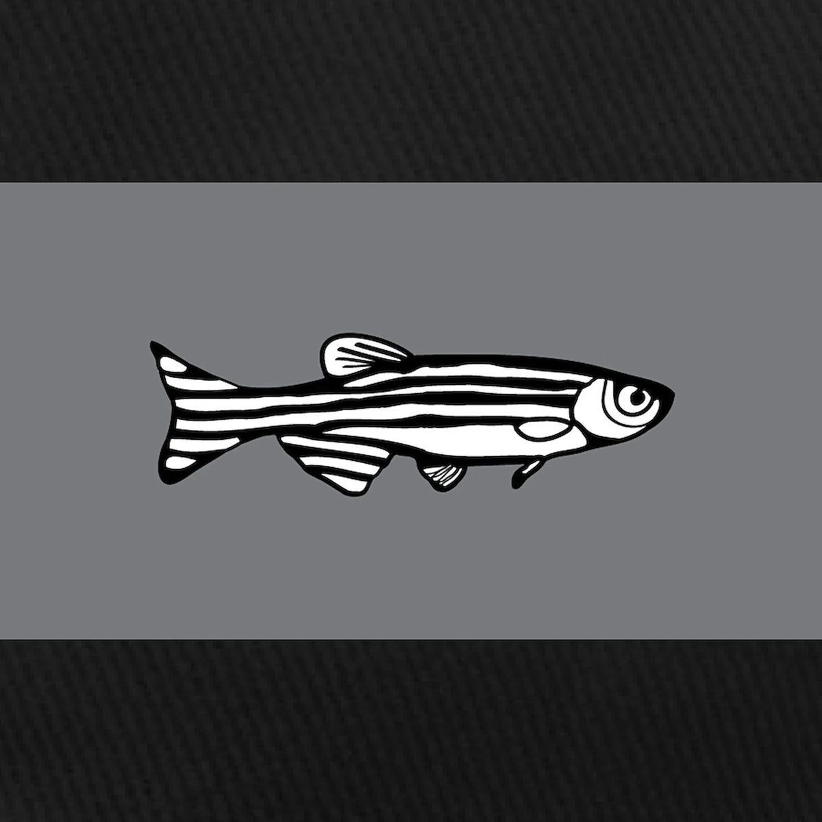 Cap - Adjustable Zebrafish Canvas Hat Black Black CafePress - Cotton Printed Baseball
