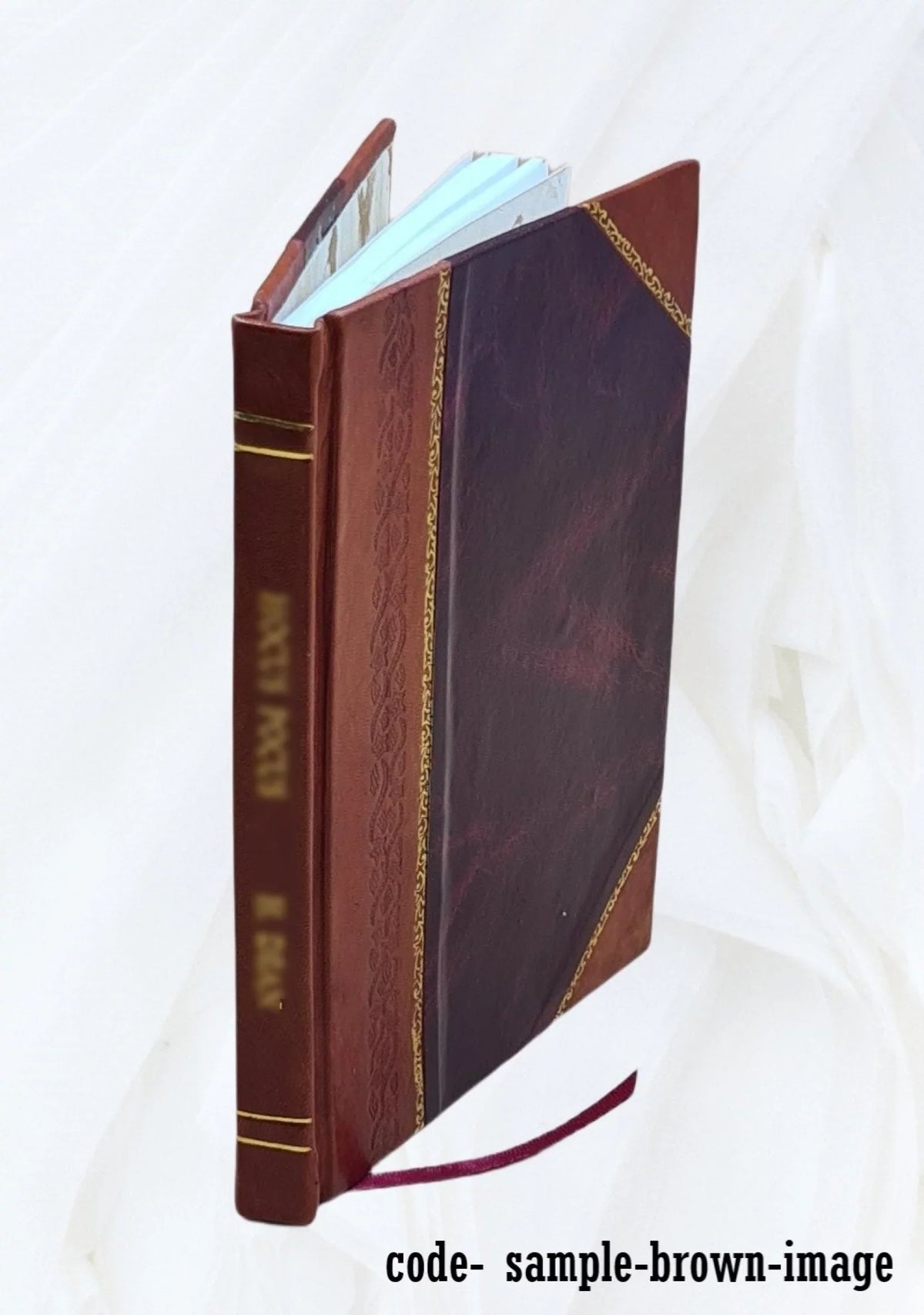 curator. the Catalogue [Leather Gallery. by Layton Prepared Art Eldridge, C. of Edwin Bound] 1893