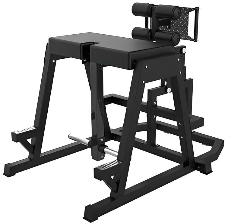 Donkey Reverse Fitness Hyperextension (New) RH80 French Kick