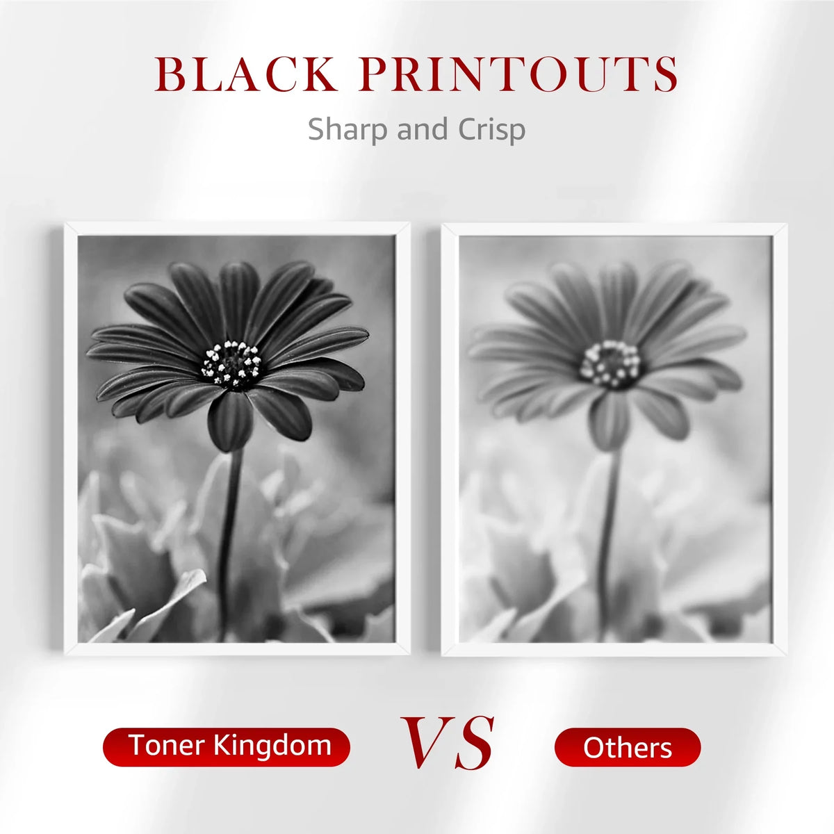 Printer pack) Toner(2 Compatible for Unit Drum brother DR730