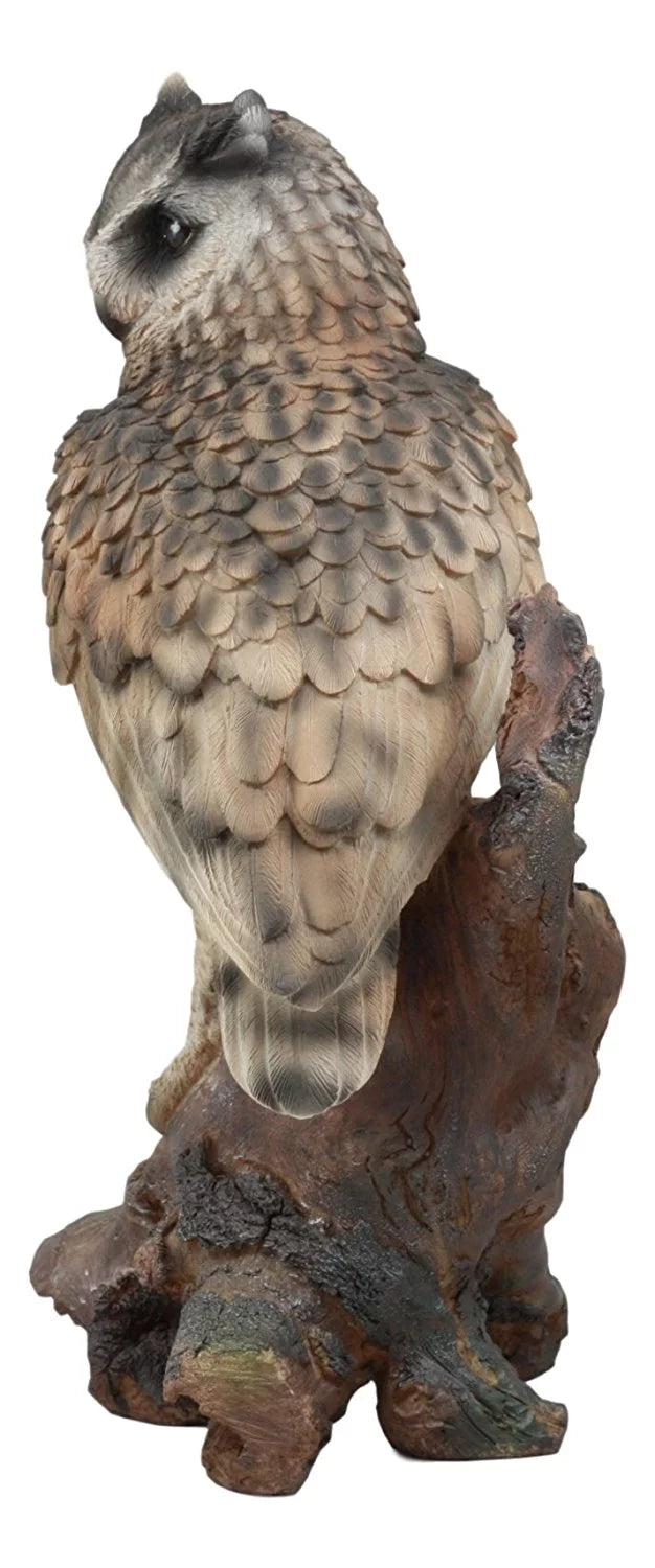 Taxidermy Glass Eagle Nocturnal 14.25"Tall Owl Realistic On Owl Tree Statue With Ebros Nature Lifelike Eyes Figurine Wildlife Perching Eurasian