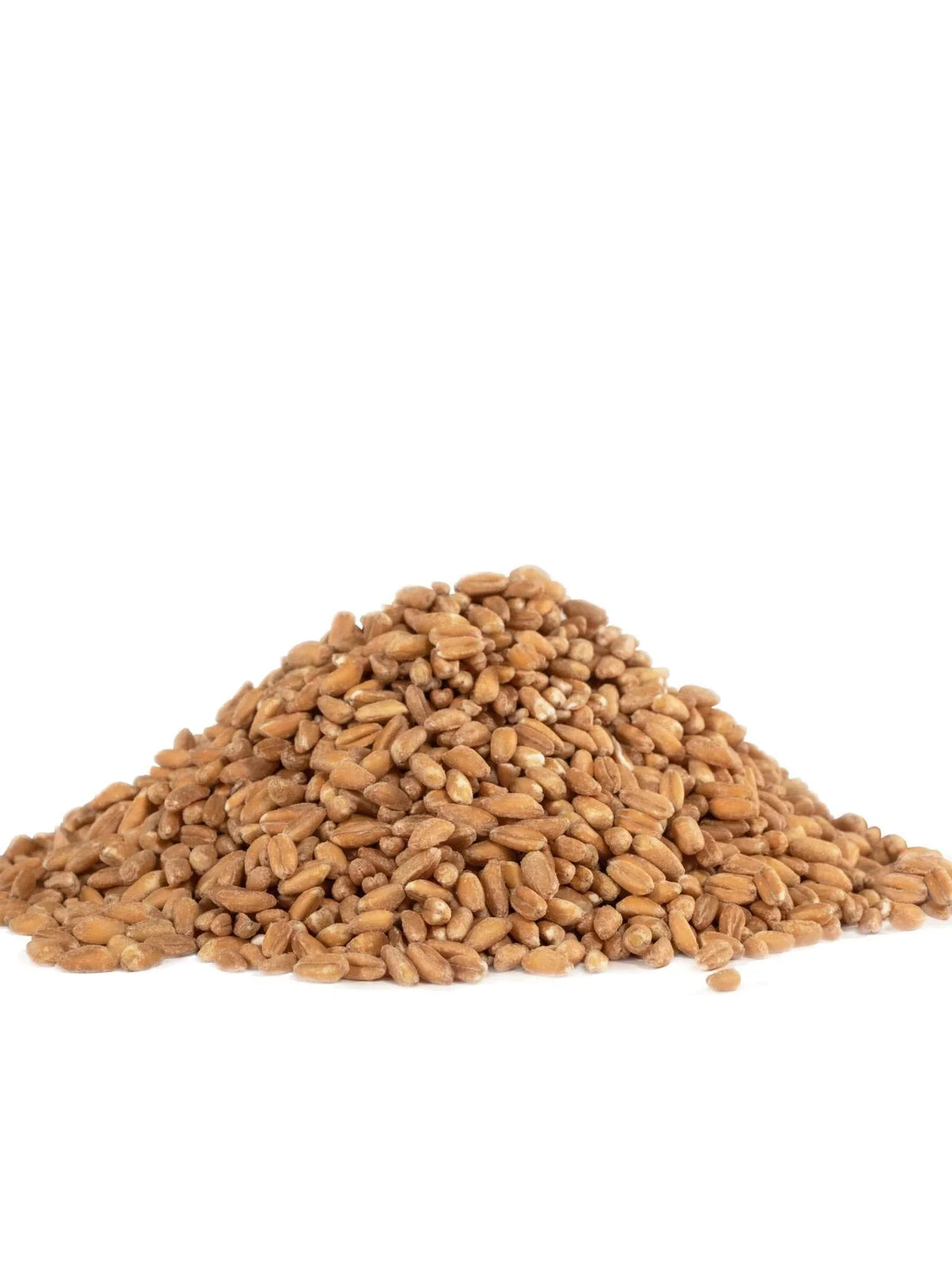 Ounce (Pack of Grain, Red Farro Organic 24 Mill 4) Bob's