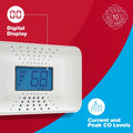Year Display Alarm w/ 10 CO Digital