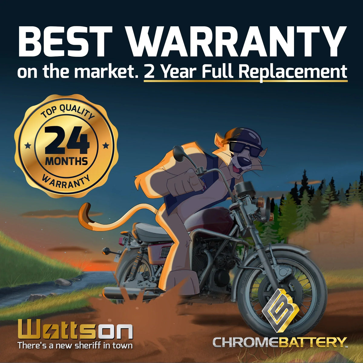 12 210 Tiger (14AHL-BS 97-'99 Battery Jet Ah, YTX14AHL-BS Chrome Volt,12 Arctic Battery Shark for CCA) Ski Cat 770cc