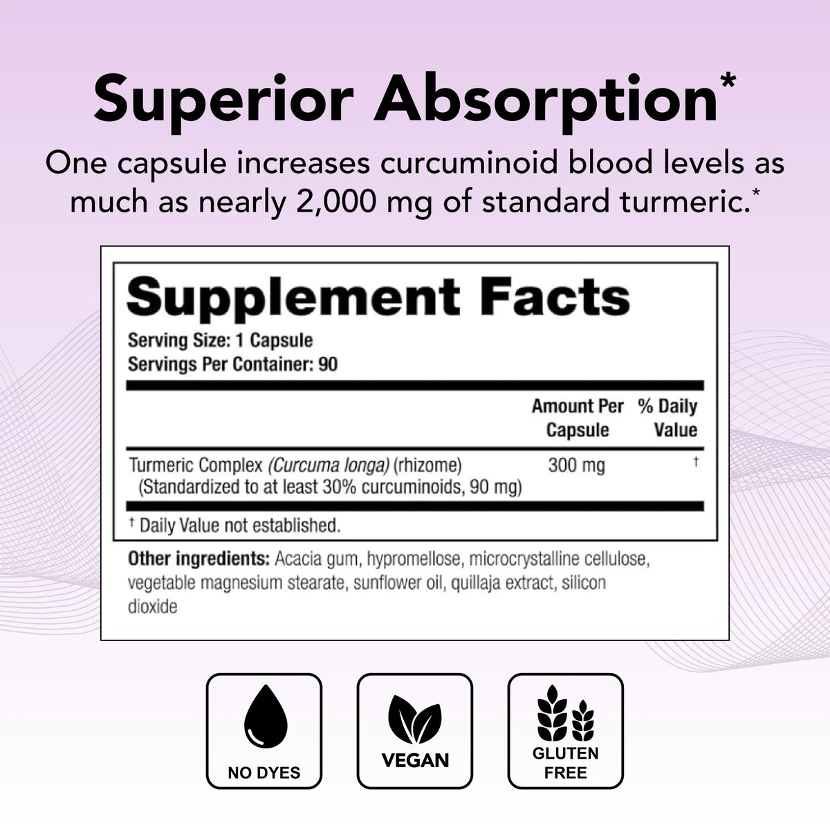 Complex Absorption Supply), High CurcuSorb Turmeric Supplement Theralogix Turmeric (90-Day Curcumin