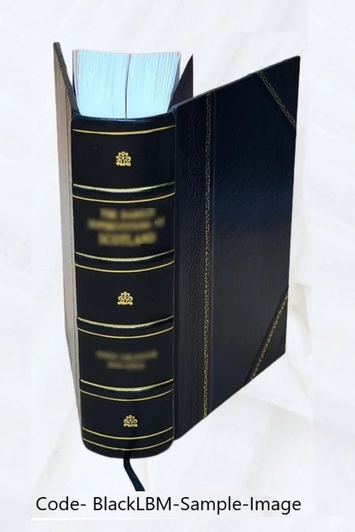 R2M deux Revue mondes [Leather 1870 des Bound]