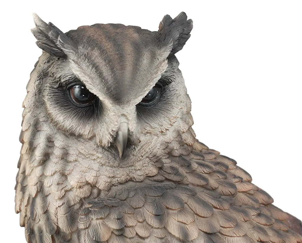 Taxidermy Glass Eagle Nocturnal 14.25"Tall Owl Realistic On Owl Tree Statue With Ebros Nature Lifelike Eyes Figurine Wildlife Perching Eurasian
