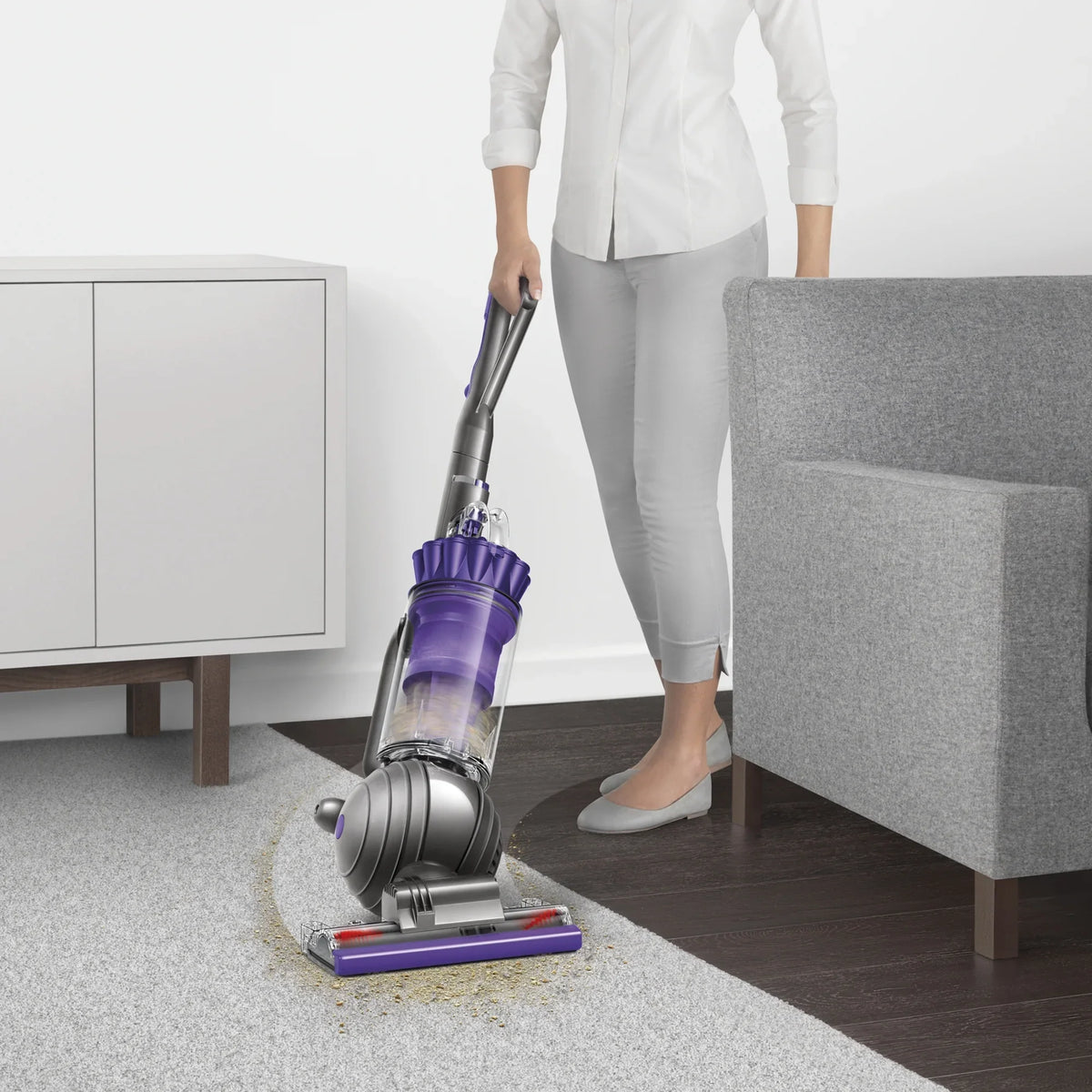 Purple | Vacuum Upright | Ball Dyson 2 Animal New
