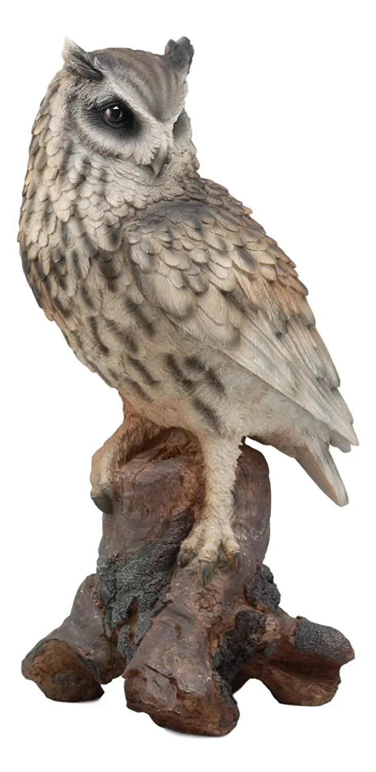 Taxidermy Glass Eagle Nocturnal 14.25"Tall Owl Realistic On Owl Tree Statue With Ebros Nature Lifelike Eyes Figurine Wildlife Perching Eurasian